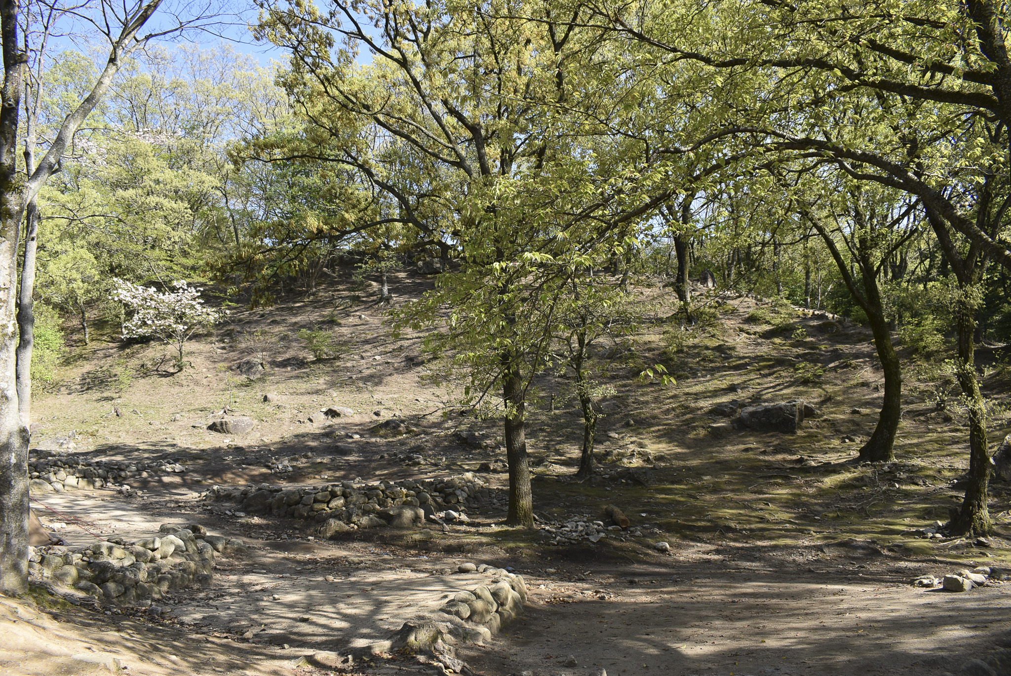 一本松公園 宇美町昭和の森キャンプ場 Field Bank フィールドバンク