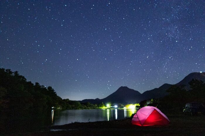 志高湖キャンプ場 安い ペット