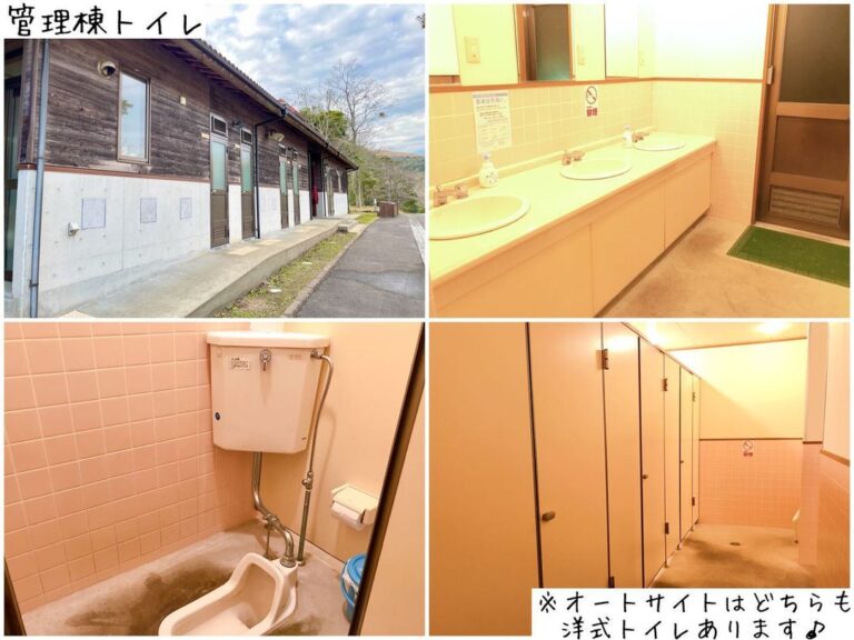 131991306 5596133753745312 2166618149443434327 n 768x576