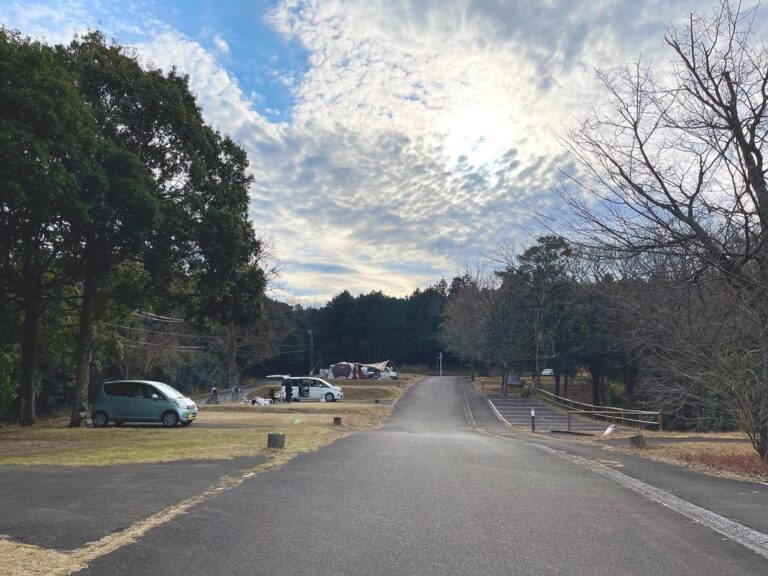 137543368 1914457218701324 5097183702487169623 n 768x576