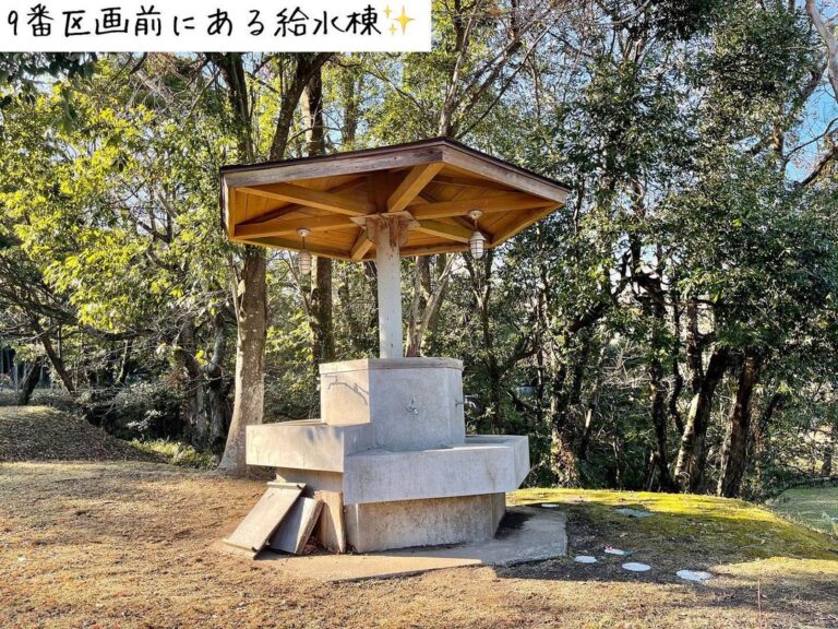 137650533 402604420802834 2081371774759381149 n 768x576