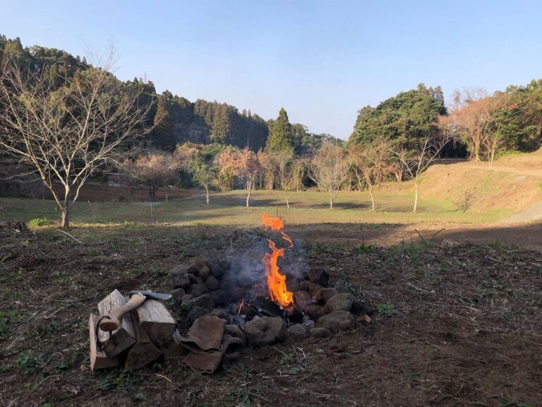 145334376 466812014698241 3896722638861212526 n 768x576