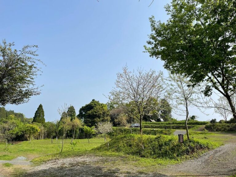 165979634 450001332906055 5916946325988801380 n 768x576