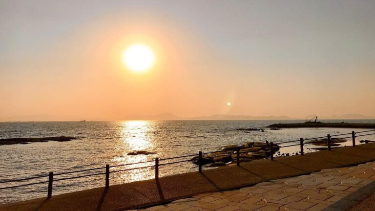 176260591 496892468176022 1255612053084883643 n 768x432