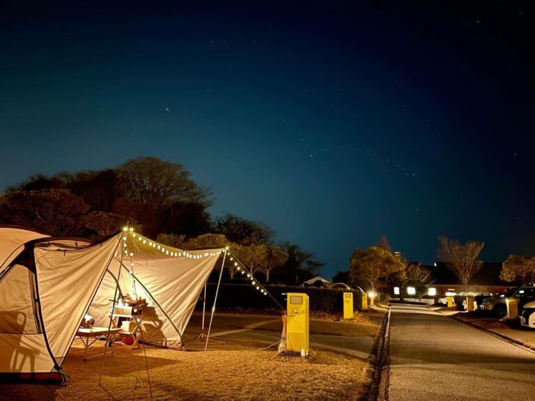 179455887 142272931202526 6697051262651473111 n 768x576