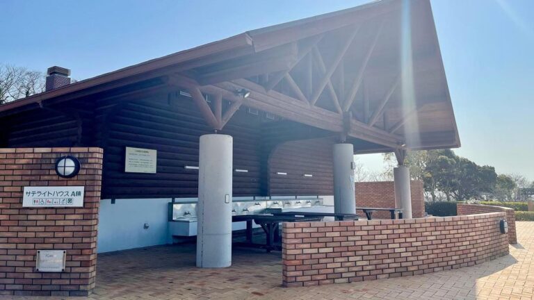 185786893 296802598647012 1501678211600440571 n 768x432