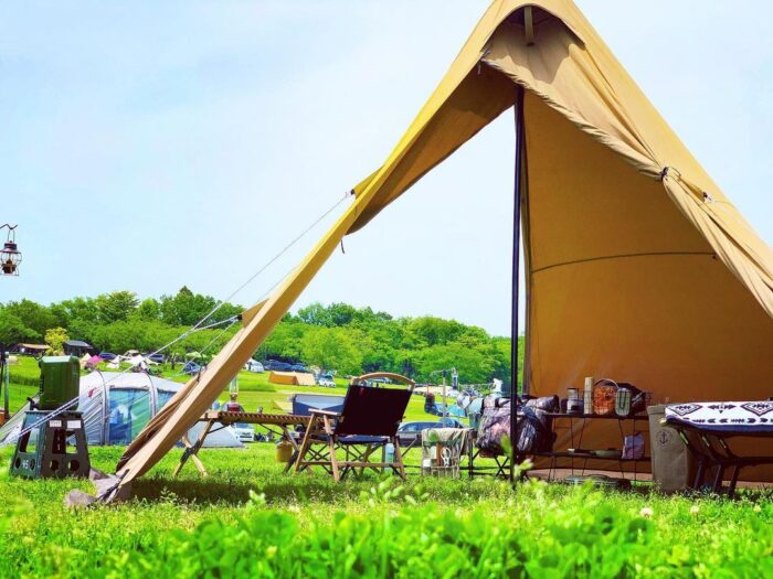 211348714_309222264265646_2422