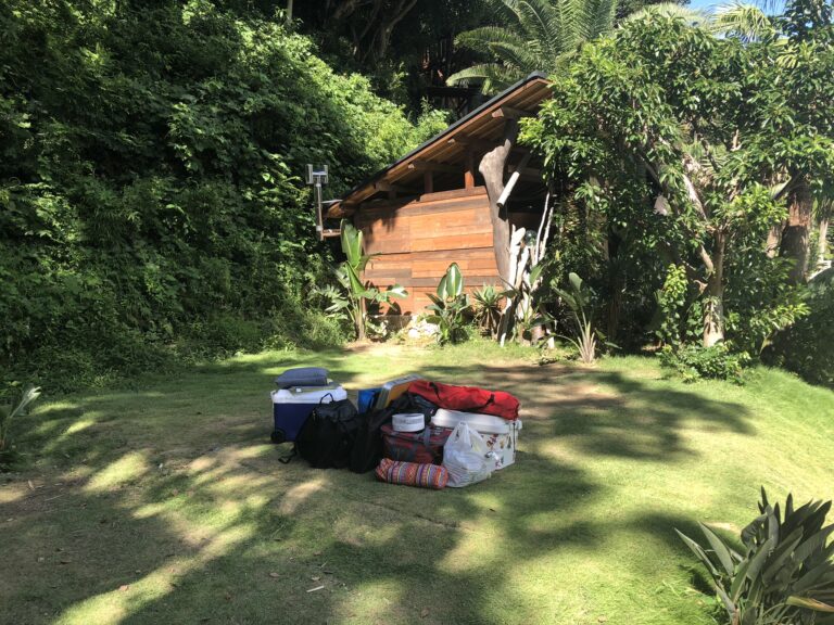 232A747C 1CE8 4D06 A3A1 68315271ED84 768x576