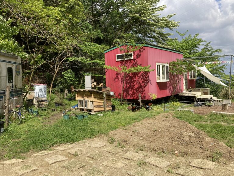 EBA02CEF E71C 49D8 846C 476FA72298DF 768x576