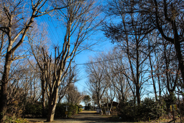 IMG 4410 1200x800 1 768x512