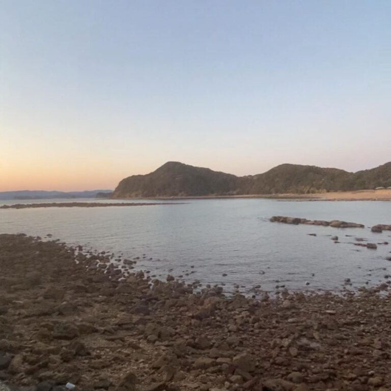 120043500 3473875815983511 6529216673848195378 n 768x767