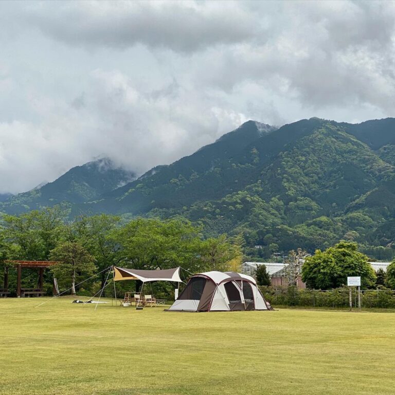 179941165 4220712734659833 5245192770571199554 n 768x768