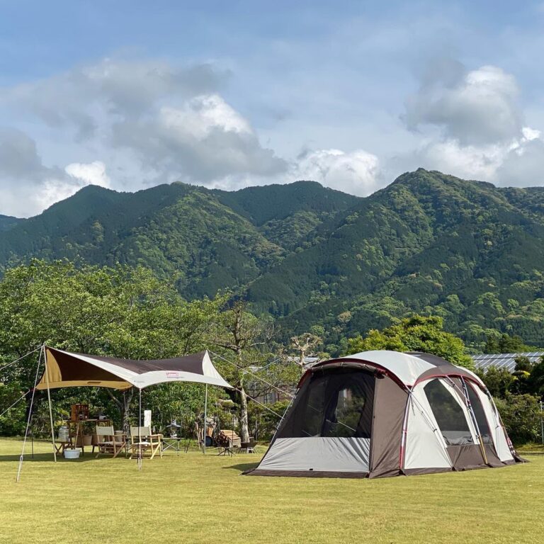 180838783 171860281479784 6478305298091854127 n 768x768