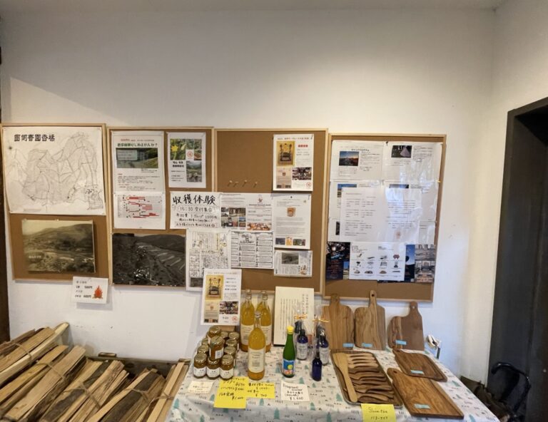 56A0A79E 16DA 478D A8FE 5929FC23511C 768x592