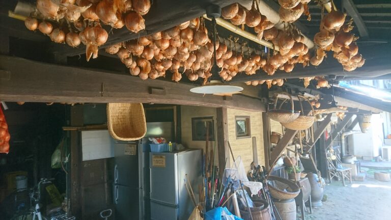 DSC 1829 1 768x432