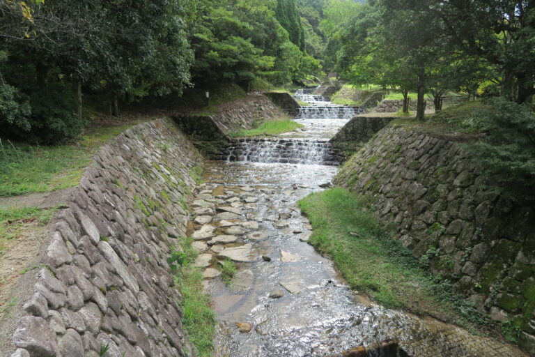 IMG 0974 768x512