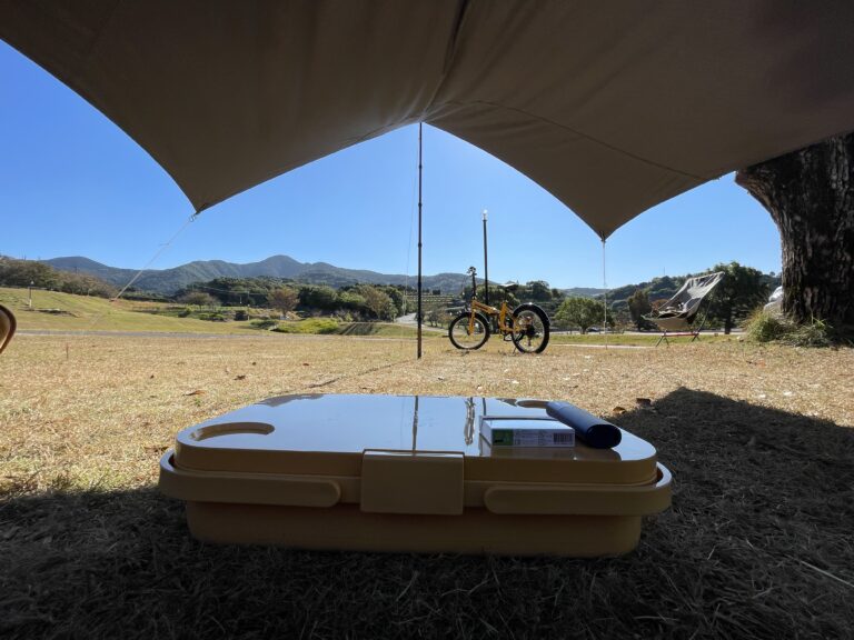 3E1E74C8 5031 4F6B B567 B9BC9312D5CD 768x576