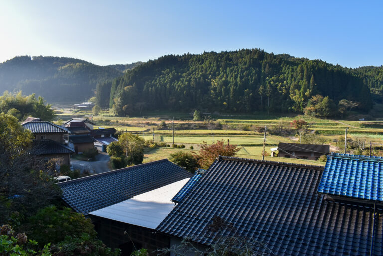 DSC 0050 768x513