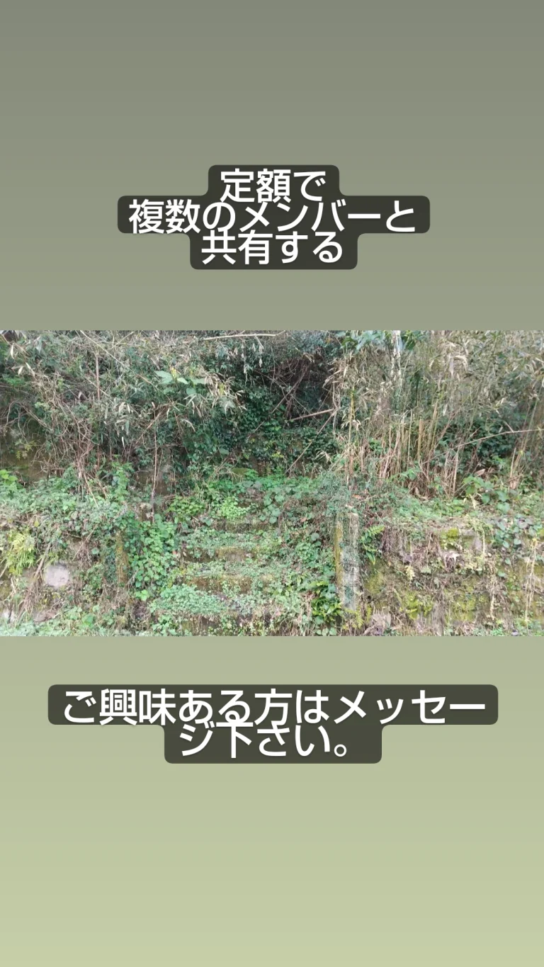 IMG 20220329 140658 932 768x1365
