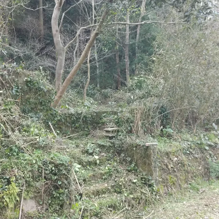 IMG 20220402 205340 050 768x768