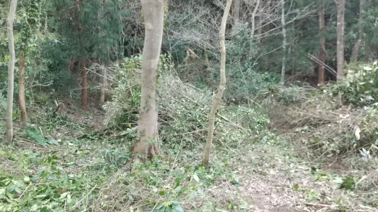 IMG 20220402 205340 088 768x432
