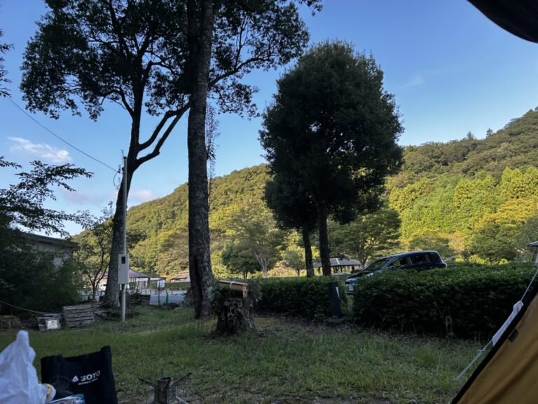 3CB39A72 666C 420C A246 A7716AFF1174 1 105 c 768x576