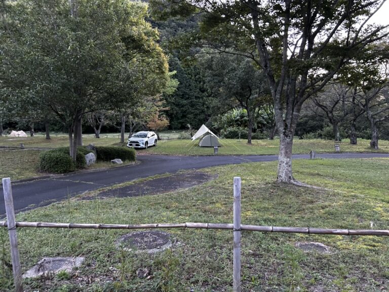 3E2DBAEB 5BA8 4755 9CB3 EB92D6B7FBB0 1 105 c 768x576