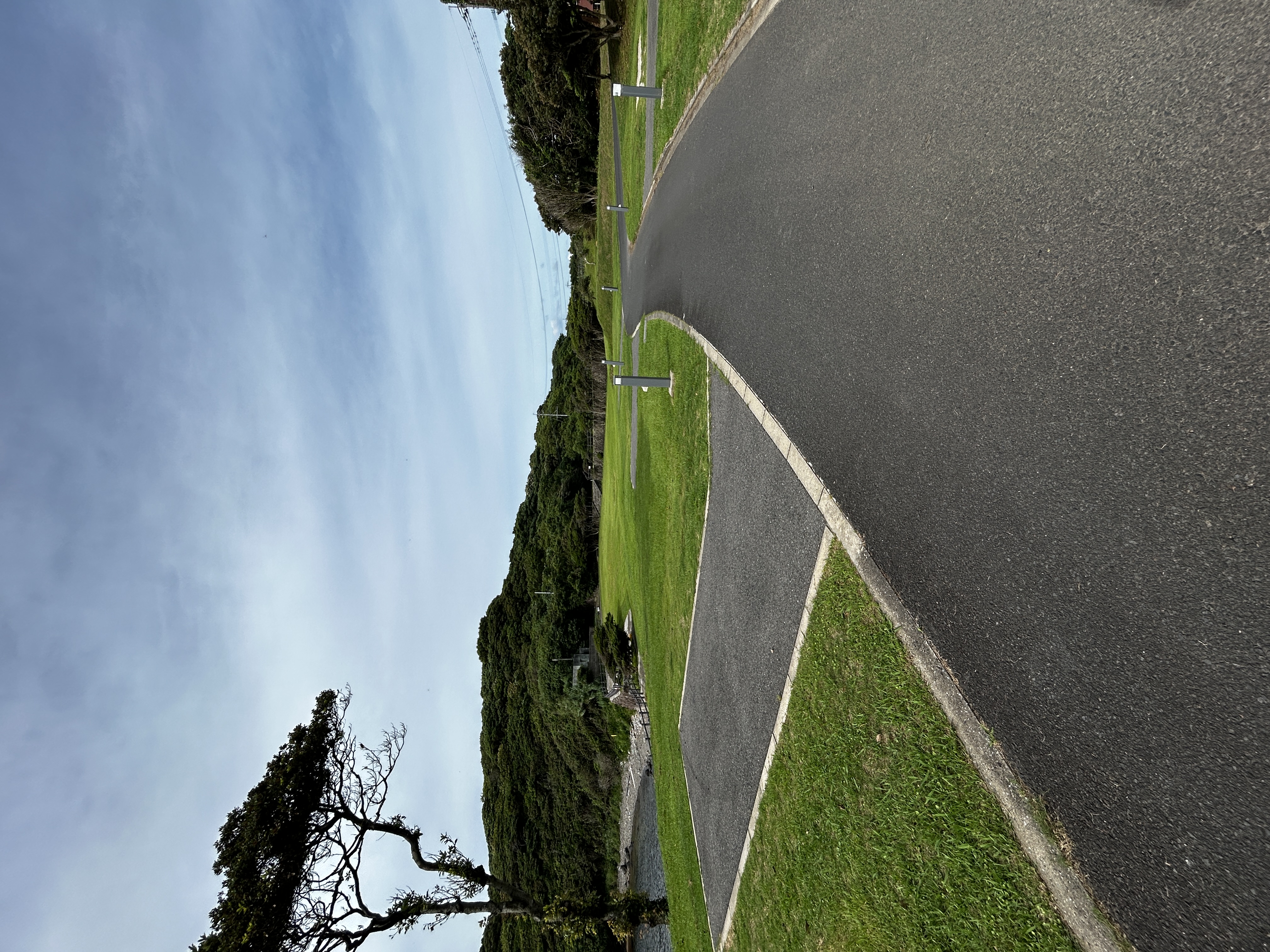 IMG_6636.jpeg