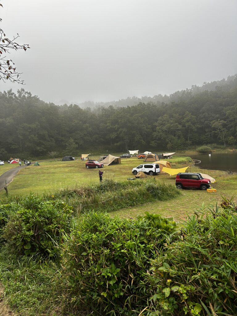 IMG 8063 768x1024