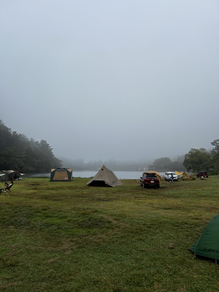 IMG 8064 768x1024